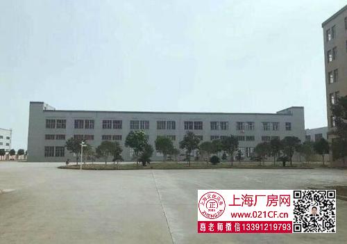 G1731 奉賢 南橋奉浦工業(yè)園開發(fā)區(qū)新出1100平標(biāo)準(zhǔn)廠房倉(cāng)庫(kù)出租