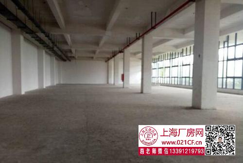G1729 浦東 航頭鎮(zhèn) 8000平方米廠房倉庫出租  100平起租 適合倉儲電商 價(jià)格優(yōu)惠