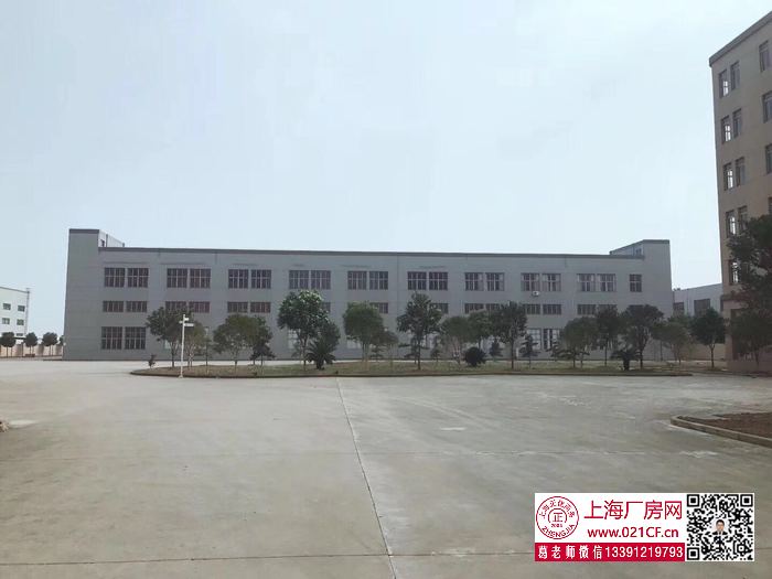 G1767 金山楓涇鎮(zhèn)建安路雙層廠房倉(cāng)庫(kù)出租 1000平起租  104地塊可環(huán)評(píng) 無(wú)稅收要求