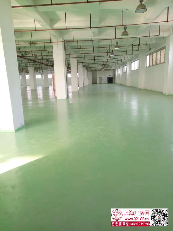 G1785上海市普陀區(qū)桃浦武威路多層物流廠房倉(cāng)庫(kù)出租 100平起租 1.6元 