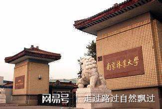 兩所農(nóng)林大學中南林業(yè)科技大學和南京林業(yè)大學
