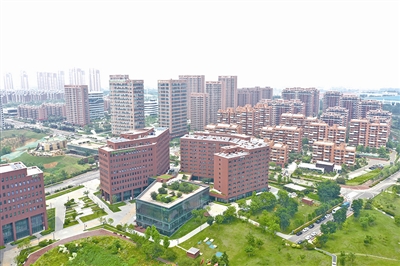 青島國際招商產(chǎn)業(yè)園：全球精準(zhǔn)招商 打造優(yōu)勢產(chǎn)業(yè)集聚高地