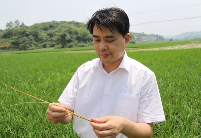 湖南科技報(bào)社組建百名農(nóng)技專家服務(wù)團(tuán)“抗疫情·穩(wěn)生產(chǎn)”專家在線農(nóng)技服務(wù)今日上線